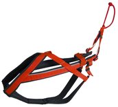 Adjustable Racing Harnas | Verstelbaar Trekharnas