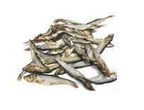 Haring (klein) | 400 gram