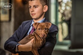 DOGMEAT PUPPY 1 - 6 MAANDEN - VLEESROL 200 GRAM