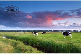 DOGMEAT RUND & RUNDERPENS COMPLEET - VLEESROL 500 GRAM