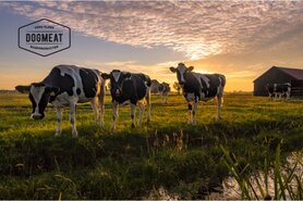 DOGMEAT RUND & KIP COMPLEET - VLEESROL 500 GRAM