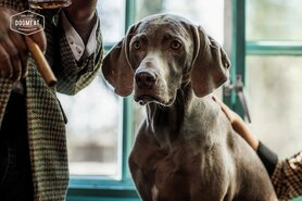 DOGMEAT EEND & RUND - VLEESROL 500 GRAM