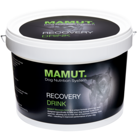 MAMUT RECOVERY DRINK | 800 GRAM