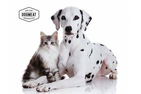 CATMEAT BEEFMIX RUND - VLEESROL 500 GRAM 