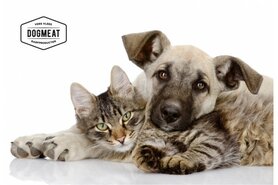 CATMEAT BEEFMIX VIS - VLEESROL 500 GRAM 