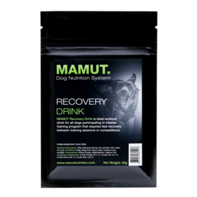 MAMUT RECOVERY DRINK | 40 GRAM