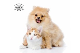 CAT'S NATURE KONIJN - VLEESROL 200 GRAM