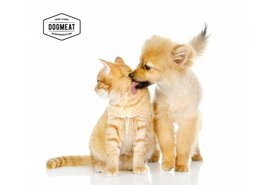 CAT'S NATURE PAARD - VLEESROL 200 GRAM