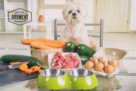 NATUDOG COMPLEET - VLEESROL 1000 GRAM