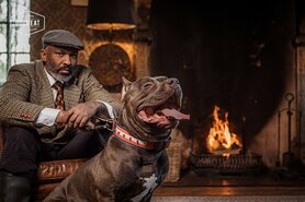 DOGMEAT 5 DIEREN BASIS - VLEESROL 500 GRAM