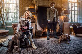 DOGMEAT 4 DIEREN BALANS - VLEESROL 1000 GRAM