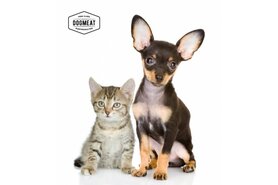 CAT'S NATURE RUND - VLEESROL 200 GRAM