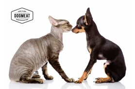 CAT'S NATURE GANS - VLEESROL 200 GRAM