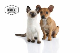 CAT'S NATURE KALKOEN - VLEESROL 200 GRAM