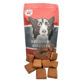 FASTDOG RECOVERY BISCUITS