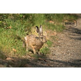 DOGMEAT HAAS (GEMALEN) - VLEESROL 500 GRAM