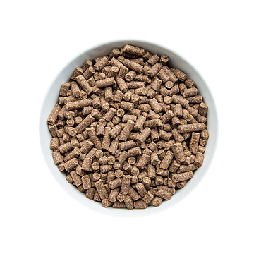 KIVO Puppypakket