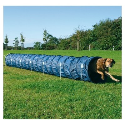 Agility basic tunnel