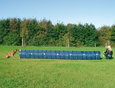 Agility basic tunnel