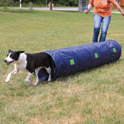 Agility Tunnel