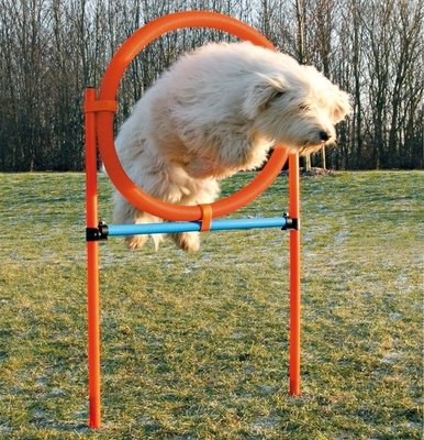 Agility Ring