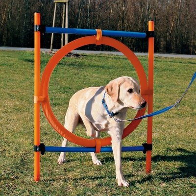 Agility Ring