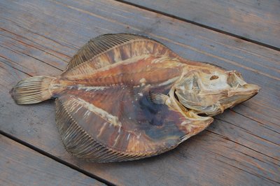 Scholletjes | 150 gram