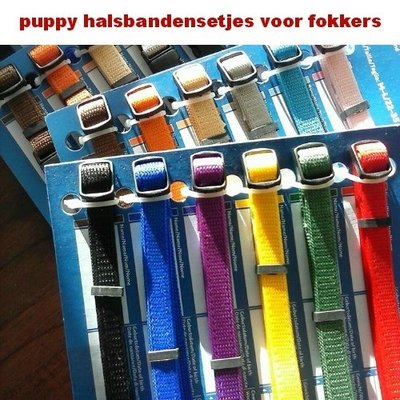 Puppy halsbanden set Medium/Large