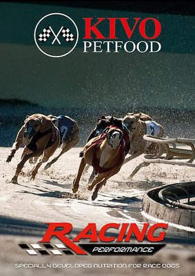 Racing Performance - Race Dogs - koudgeperst | 15 KG