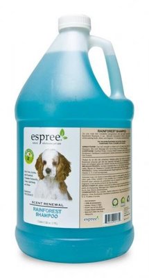 Rainforest shampoo | Gallon