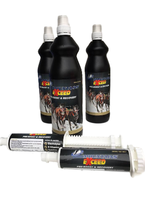 Palamountains Exceed Pre Boost 80ML