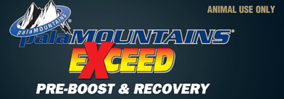 Palamountains Exceed Pre Boost 80ML