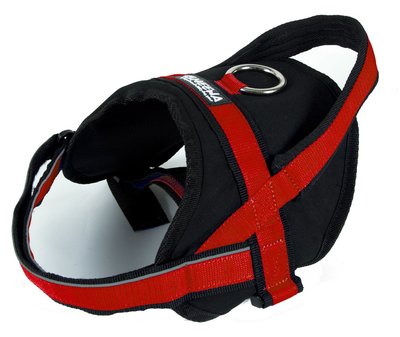 Utility Harness