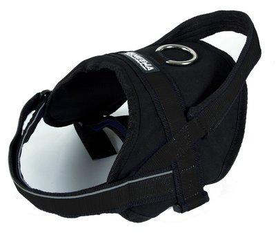 Utility Harness