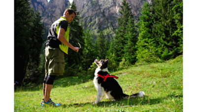 Utility Harness