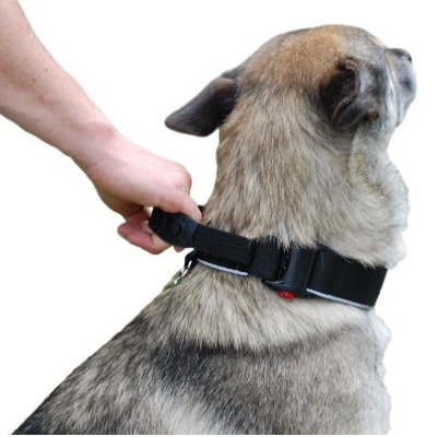Halsband met handvat