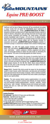 Palamountains Exceed Pre Boost 750ML