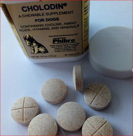 Cholodin Hond - tijdelijk niet leverbaar