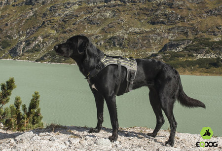 EQDog Pro Harnas - grijs