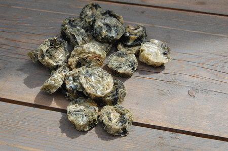 Kabeljauw schijfjes - vis koekjes | 150 gram