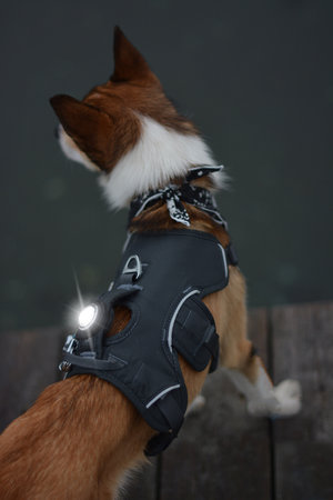 Orbiloc Quick Mount Adjustable
