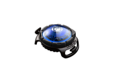 Orbiloc Dog Dual - Blue