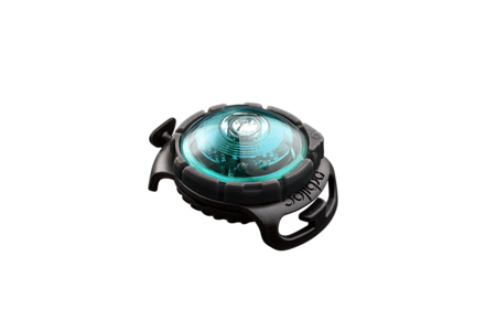 Orbiloc Dog Dual - Turquoise