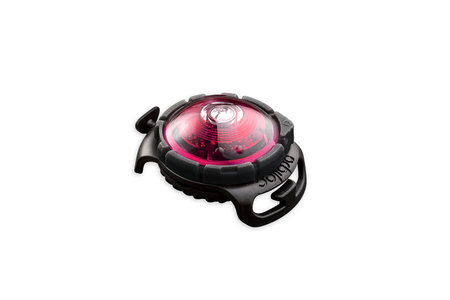 Orbiloc Dog Dual - Pink