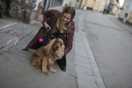 Orbiloc Dog Dual - Pink