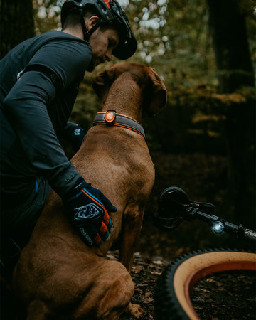 Orbiloc K9 Active - set | voor hond én baas