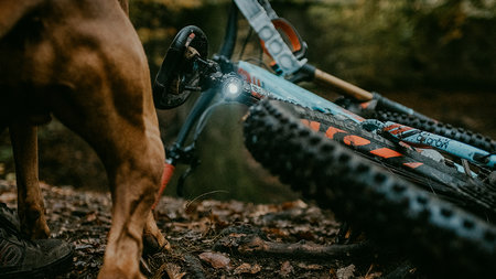 Orbiloc K9 Active - set | voor hond én baas