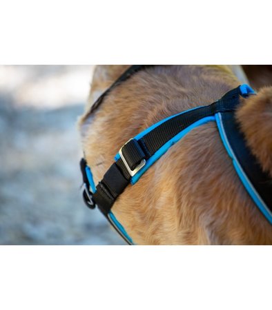 Inlandsis open-back harnas Green - kleine hond t/m 24KG