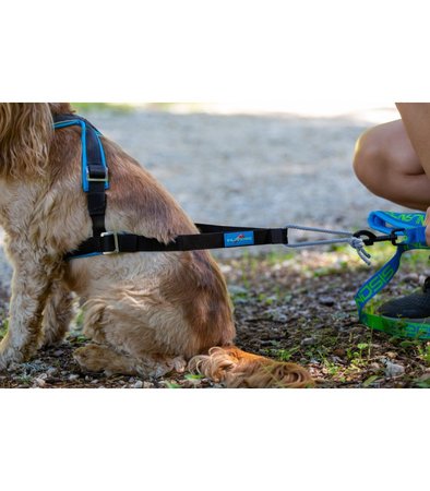 Inlandsis open-back harnas Green - kleine hond t/m 24KG