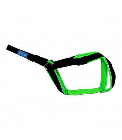 Inlandsis open-back harnas Green - kleine hond t/m 24KG
